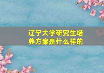 辽宁大学研究生培养方案是什么样的