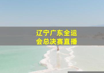 辽宁广东全运会总决赛直播