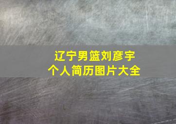 辽宁男篮刘彦宇个人简历图片大全