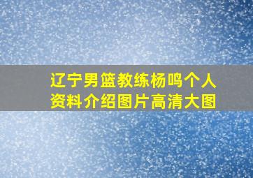 辽宁男篮教练杨鸣个人资料介绍图片高清大图