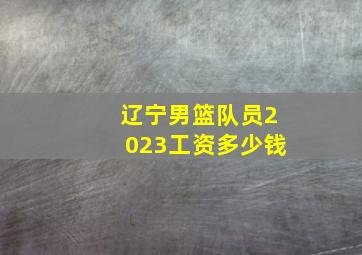 辽宁男篮队员2023工资多少钱