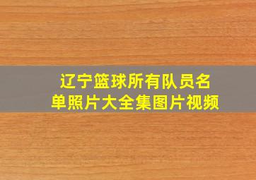 辽宁篮球所有队员名单照片大全集图片视频