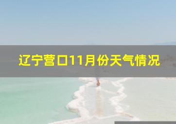 辽宁营口11月份天气情况