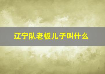 辽宁队老板儿子叫什么