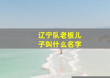 辽宁队老板儿子叫什么名字