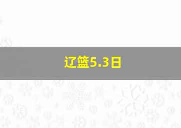 辽篮5.3日