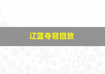 辽篮夺冠回放