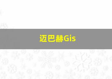 迈巴赫Gis