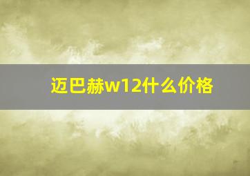 迈巴赫w12什么价格