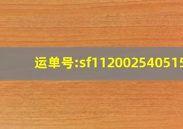 运单号:sf1120025405158