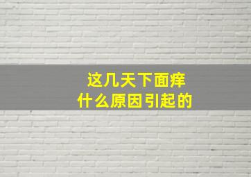 这几天下面痒什么原因引起的