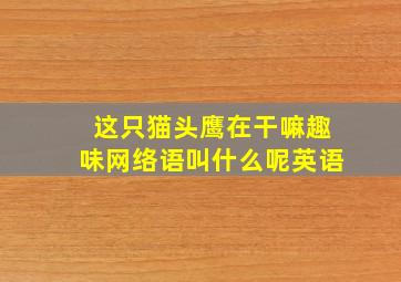 这只猫头鹰在干嘛趣味网络语叫什么呢英语