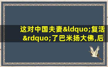 这对中国夫妻“复活”了巴米扬大佛,后被塔利班通缉!