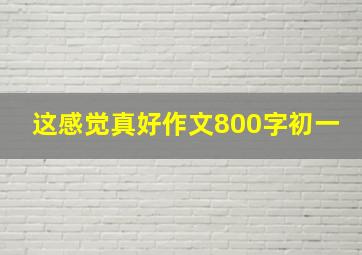 这感觉真好作文800字初一