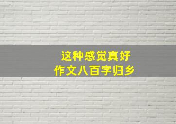 这种感觉真好作文八百字归乡