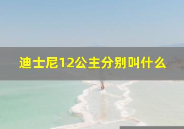 迪士尼12公主分别叫什么