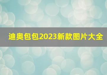 迪奥包包2023新款图片大全