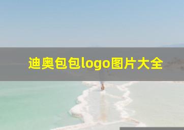 迪奥包包logo图片大全