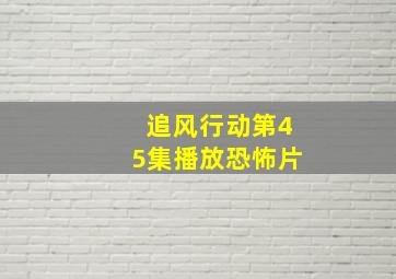 追风行动第45集播放恐怖片