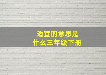 适宜的意思是什么三年级下册