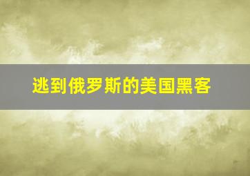 逃到俄罗斯的美国黑客