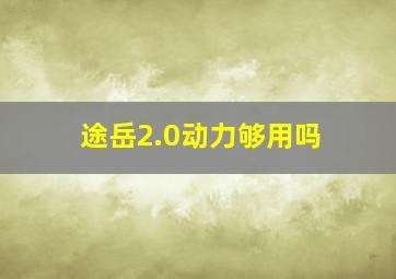 途岳2.0动力够用吗