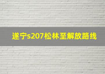 遂宁s207松林至解放路线