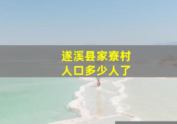 遂溪县家寮村人口多少人了