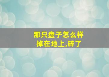 那只盘子怎么样掉在地上,碎了