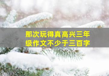 那次玩得真高兴三年级作文不少于三百字