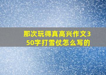 那次玩得真高兴作文350字打雪仗怎么写的