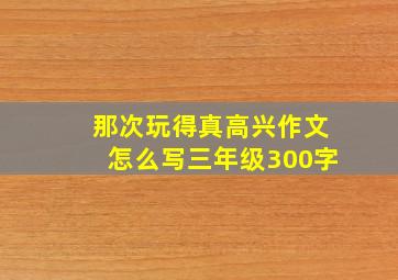 那次玩得真高兴作文怎么写三年级300字