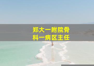 郑大一附院骨科一病区主任