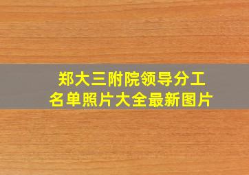 郑大三附院领导分工名单照片大全最新图片