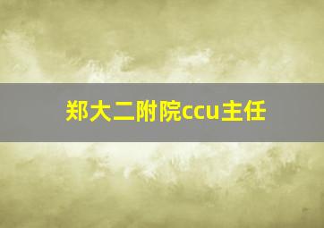 郑大二附院ccu主任