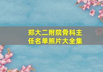 郑大二附院骨科主任名单照片大全集