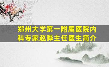 郑州大学第一附属医院内科专家赵晔主任医生简介