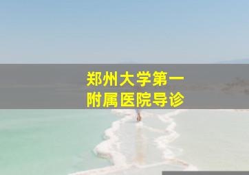 郑州大学第一附属医院导诊