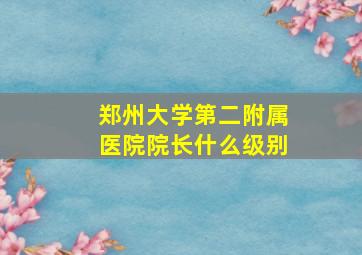 郑州大学第二附属医院院长什么级别