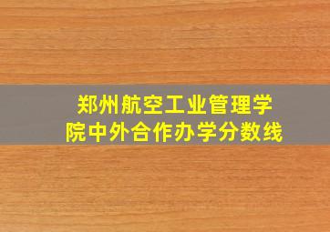 郑州航空工业管理学院中外合作办学分数线