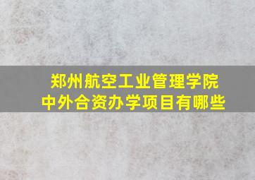 郑州航空工业管理学院中外合资办学项目有哪些