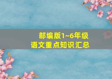 部编版1~6年级语文重点知识汇总