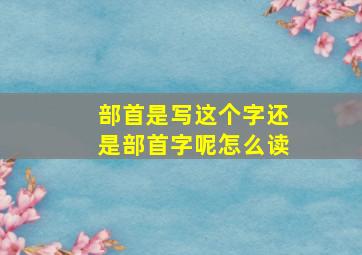 部首是写这个字还是部首字呢怎么读