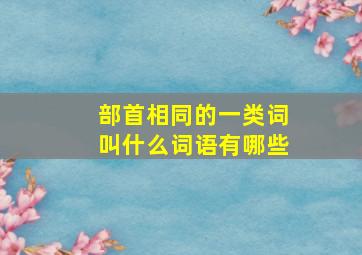 部首相同的一类词叫什么词语有哪些