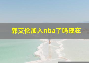 郭艾伦加入nba了吗现在