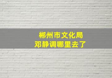 郴州市文化局邓静调哪里去了