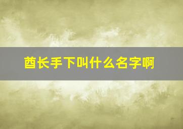 酋长手下叫什么名字啊