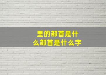 里的部首是什么部首是什么字