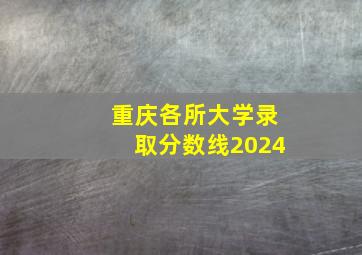 重庆各所大学录取分数线2024