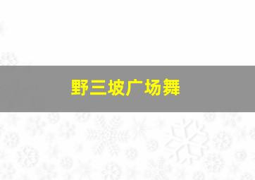 野三坡广场舞